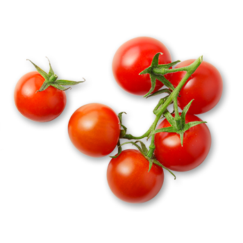 Bio-Tomaten 