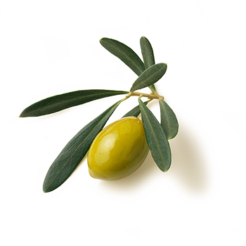 Brat-Olive Mild, Olive