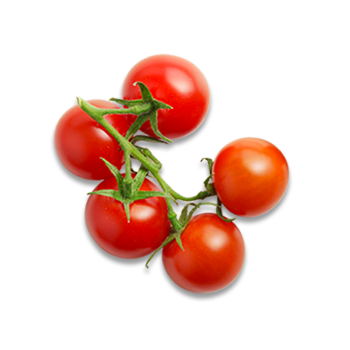 Tomaten Ketchup aus sonnengereiften Tomaten