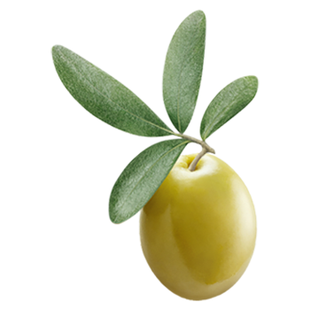 Olivenöl nativ extra, aus Griechenland, Olive