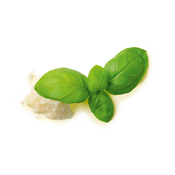 Basilikum Parmesan Bio-Pesto