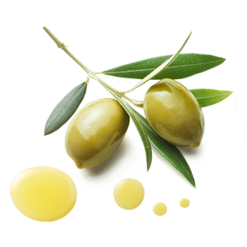 Oliven Bio-Oel