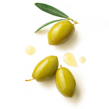 Brat Olive Mediterran Oliven