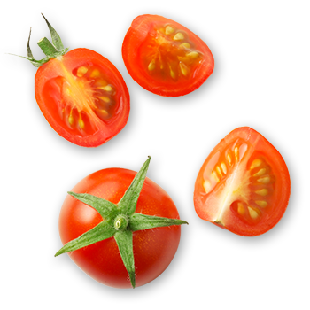 Tomaten Byodo CateringLine