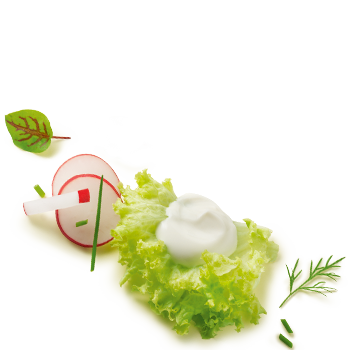 Schmuckgrafik 1
