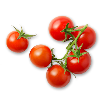 Bio-Tomaten