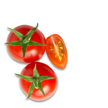 Schmuckgrafik 1