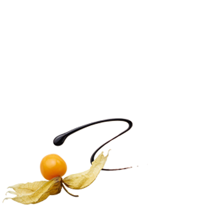 Schmuckgrafik 1