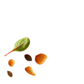 Schmuckgrafik 1