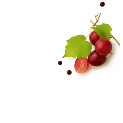 Schmuckgrafik 1