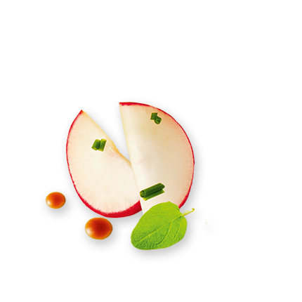 Schmuckgrafik 1