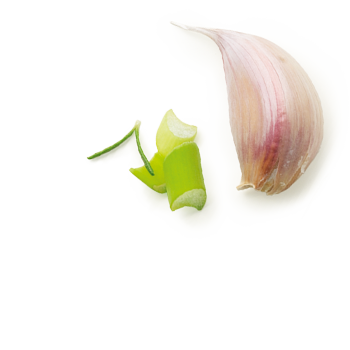 Schmuckgrafik 1