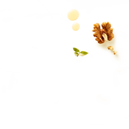 Schmuckgrafik 1