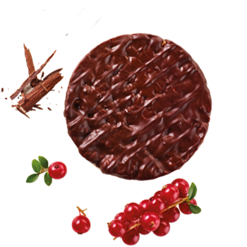 Schmuckgrafik 1