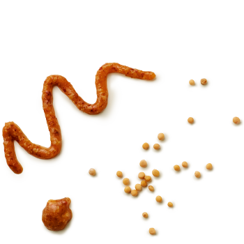 Schmuckgrafik 1