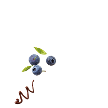 Schmuckgrafik 1