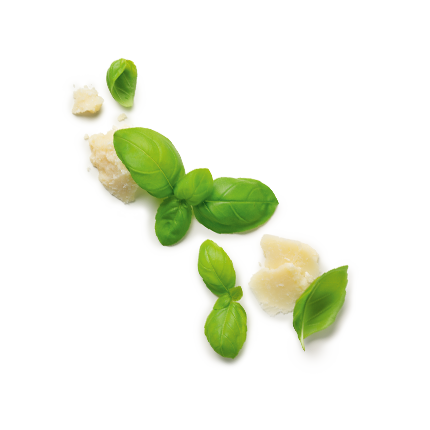 Schmuckgrafik 1