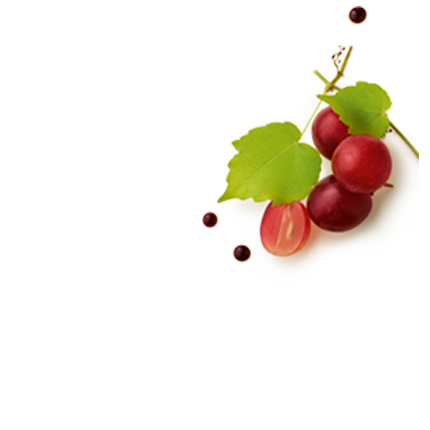 Bio-Aceto Balsamico di Modena IGP - Linea Gold 250 Milliliter