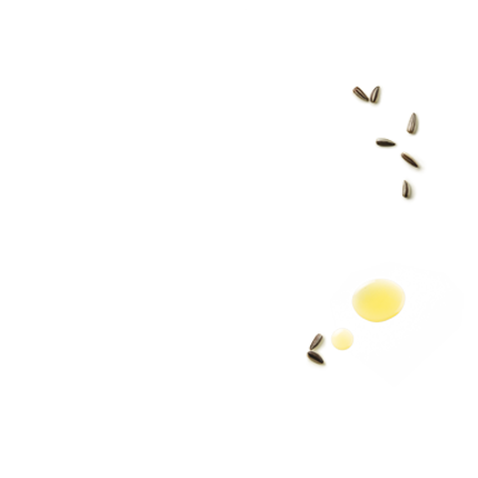 Schmuckgrafik 1