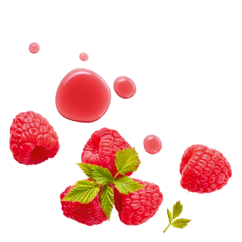 Schmuckgrafik 1