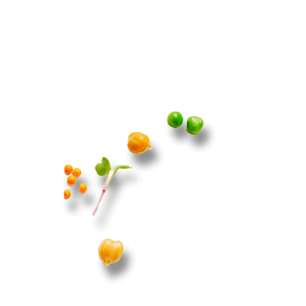 Schmuckgrafik 1