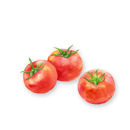 Bio-Tomatensauce Klassik 340 ml