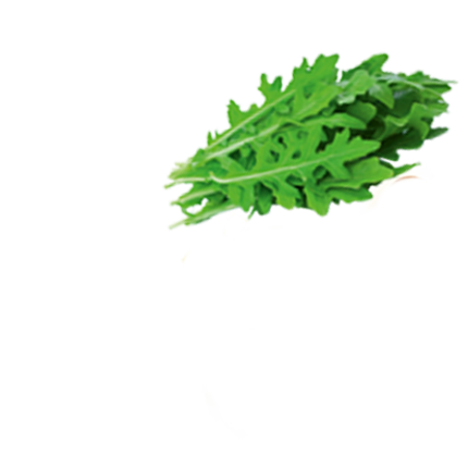 Schmuckgrafik 1