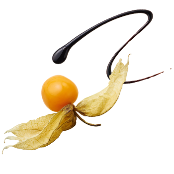 Physalis mit Crema-Schwung