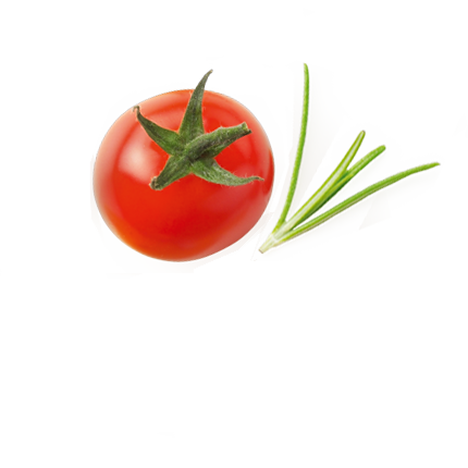 Schmuckgrafik 1