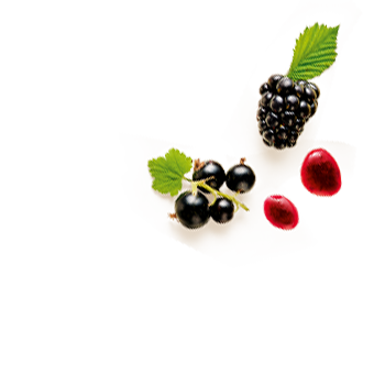 Schmuckgrafik 1