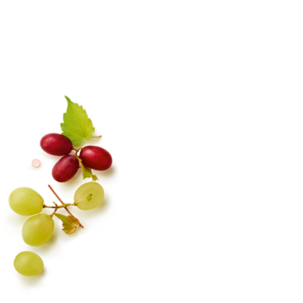 Schmuckgrafik 1