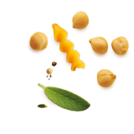 Schmuckgrafik 1