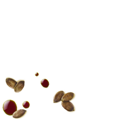 Schmuckgrafik 1