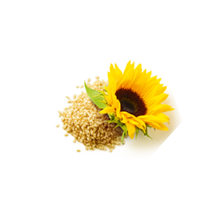 Schmuckgrafik 1