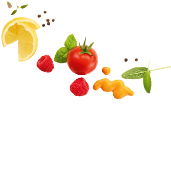 Schmuckgrafik 1