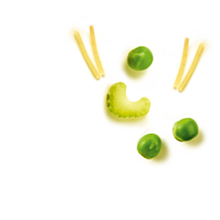 Schmuckgrafik 1
