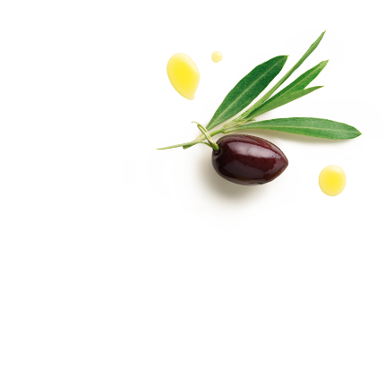 Schmuckgrafik 1