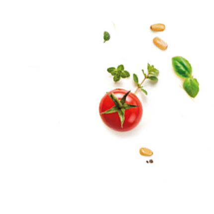 Schmuckgrafik 1