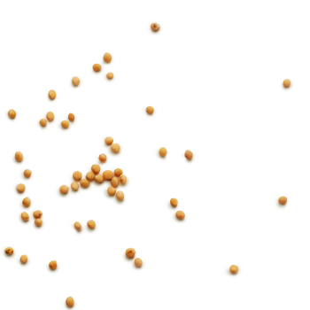 Schmuckgrafik 1