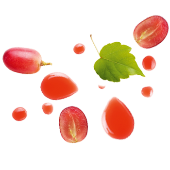 Schmuckgrafik 1