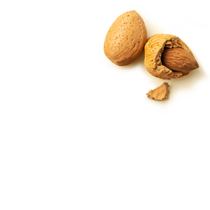 Schmuckgrafik 1