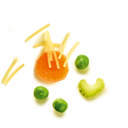 Schmuckgrafik 1