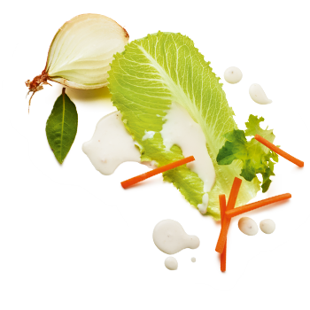 Schmuckgrafik 1