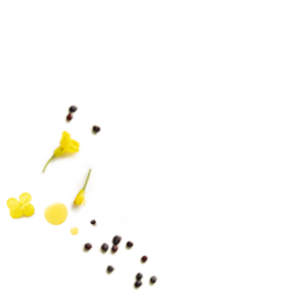 Schmuckgrafik 1