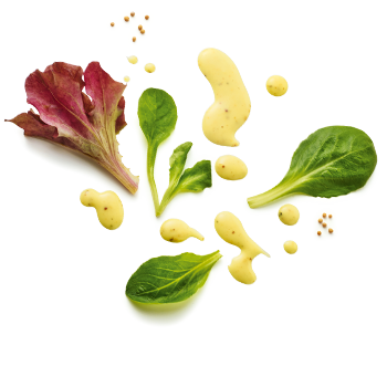 Schmuckgrafik 1