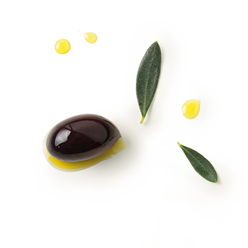 Olive Bio-Grissini Byodo Naturkost