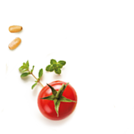 Schmuckgrafik 1
