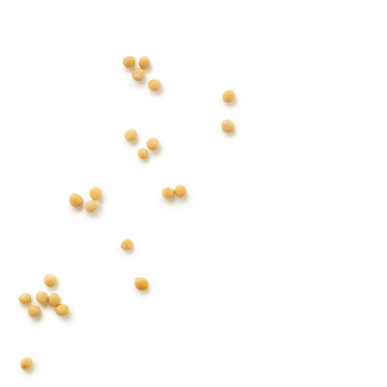 Schmuckgrafik 1