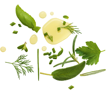 Schmuckgrafik 1