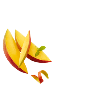 Schmuckgrafik 1